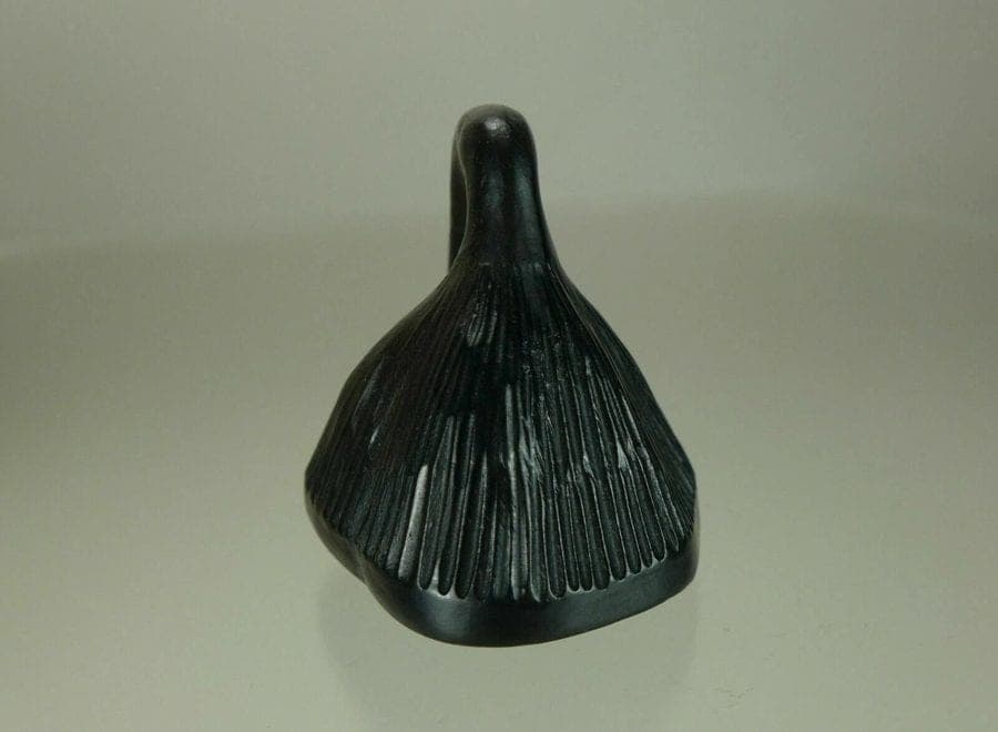 Early 19th C. Japanese Iwami Kurogaki Netsuke:  Lotus Seed Pod photo 3