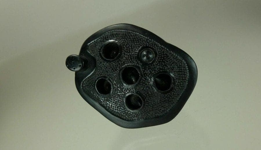 Early 19th C. Japanese Iwami Kurogaki Netsuke:  Lotus Seed Pod photo 6
