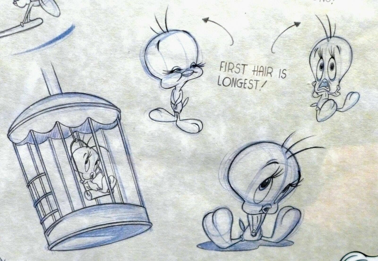 Looney Tunes Tweety & Silvester Animation Cericel w/ Characters Lumicel Backgrnd photo 5