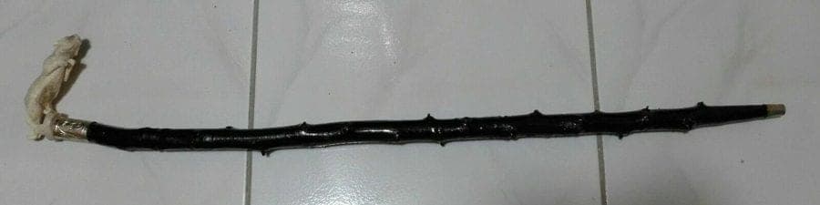 Carved Stag Antler PANTHER Handle Cane with Irish Blackthorn Shaft, 35.5 inches photo 6
