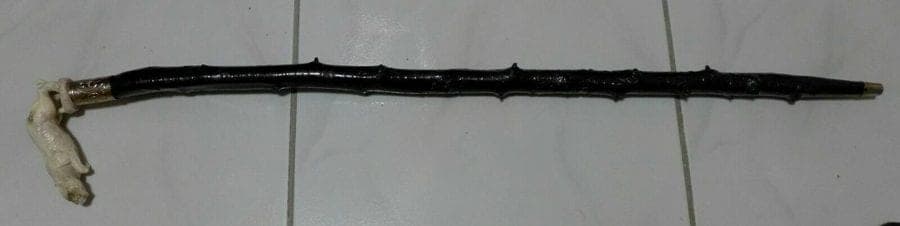 Carved Stag Antler PANTHER Handle Cane with Irish Blackthorn Shaft, 35.5 inches photo 7