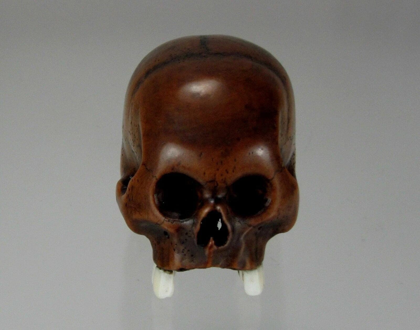 TOMOCHIKA, Edo School Boxwood Netsuke: Naturalistic Human Skull photo 2