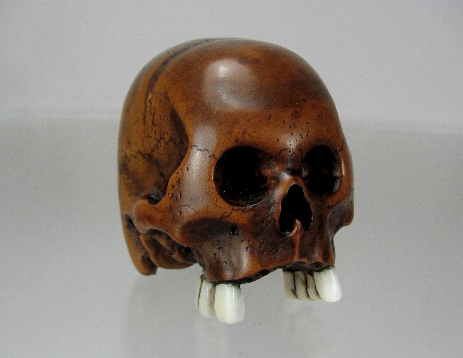TOMOCHIKA, Edo School Boxwood Netsuke: Naturalistic Human Skull photo 3