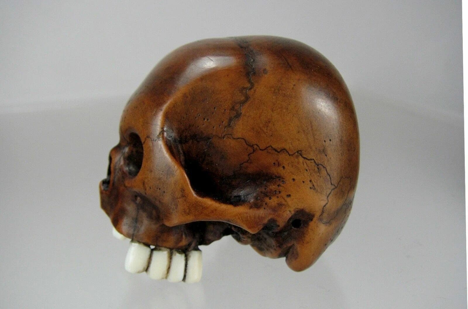 TOMOCHIKA, Edo School Boxwood Netsuke: Naturalistic Human Skull photo 5